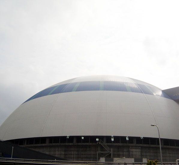 Dome Coal Storage System of Caojing Power Plant(2 sets)