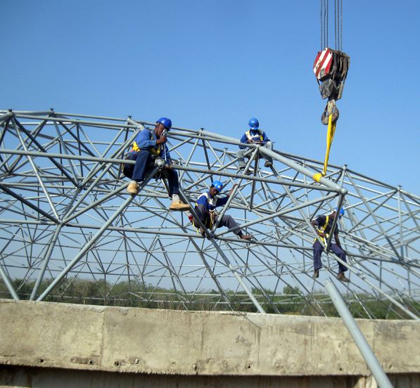 Togo Dome Space Frame Conference Hall Roof