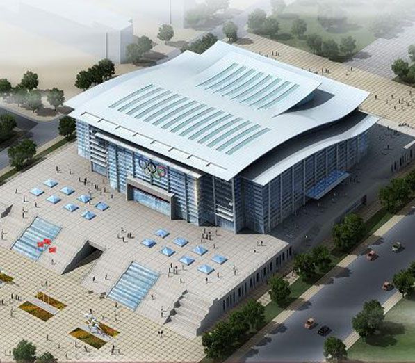 Prefabricated Gymnasium Steel Structure Space Frame Roof System Project In PuYang