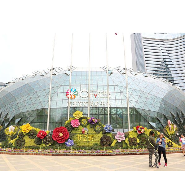 Glass Dome Steel Structure Project|Yunnan Flower City Expo Center