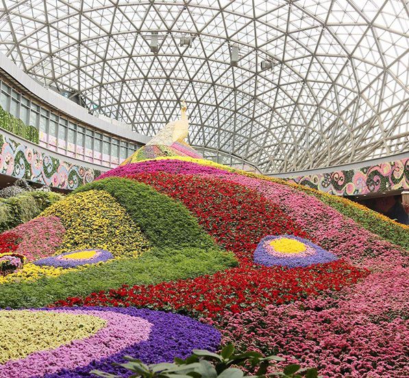 Glass Dome Steel Structure Project|Yunnan Flower City Expo Center